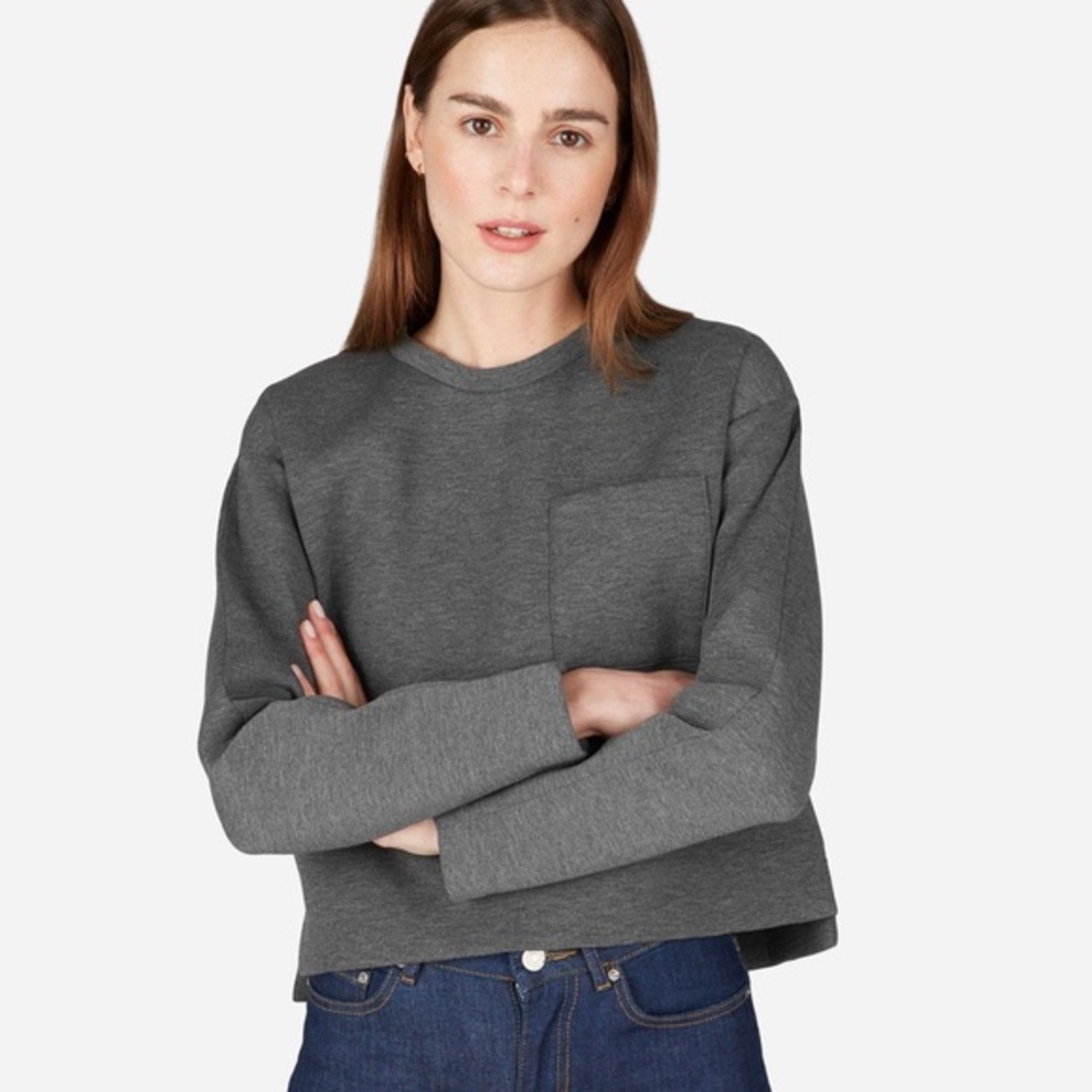 Everlane Charcoal Gray Thick Boxy Sweatshirt Size Extra Small